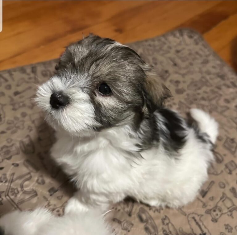 9d2ca9ba-aeec-4fe7-9cf9-f91f3848464c