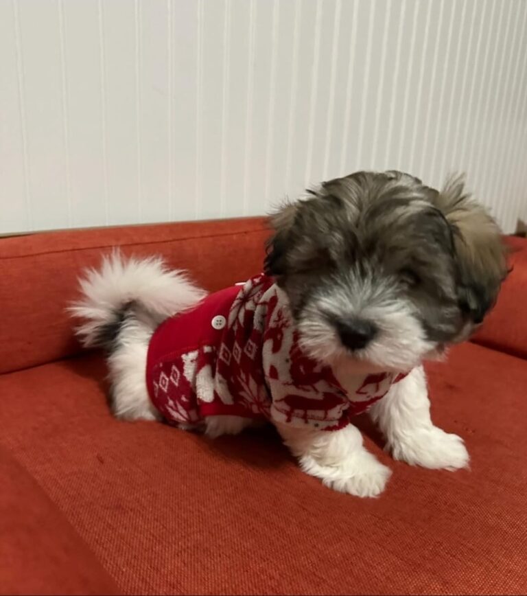 ad8f154e-98cf-431c-992d-7df58063edf0